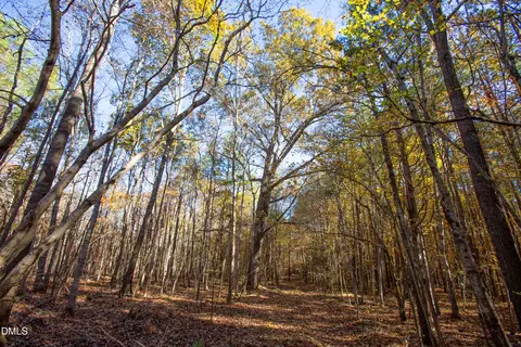 0 Blacks Rd, Macon, NC 27551 photo 13