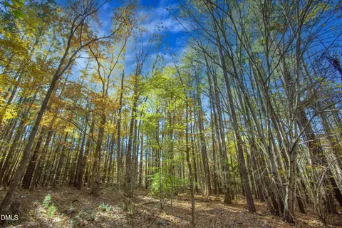 0 Blacks Rd, Macon, NC 27551 photo 6