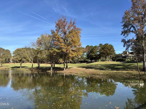 View/Area - 1317 Plunket Dr, Wake Forest, NC 27587 photo 1 of 4