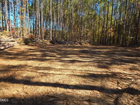 328 John Headen Rd, Moncure, NC 27559 photo 10