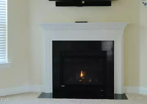 Other - 15 Cedar Falls Way, Angier, NC 27501 photo 1 of 24