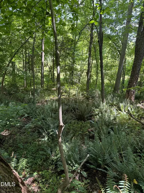1820 Efland - Cedar Grove Rd, Efland, NC 27243
