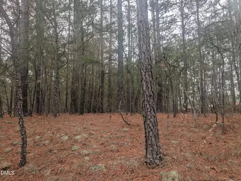 13 Saw Grass Rd, Eagle Springs, NC 27242