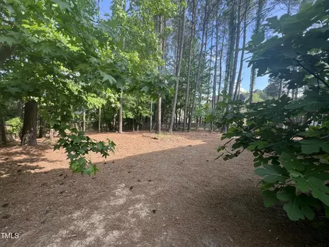 Exterior - 307 Kellyridge Dr, Apex, NC 27502 photo 11 of 12