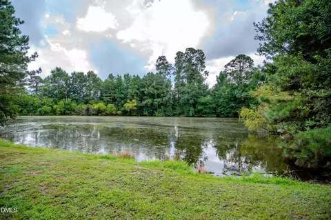 687 Brock Rd, Bunnlevel, NC 28323 photo 44