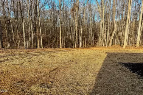 391 Loftis Loop, Roxboro, NC 27574 photo 31