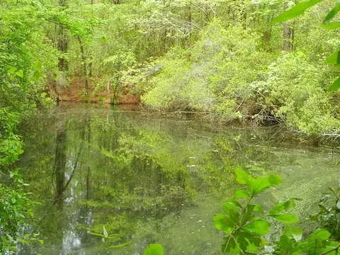 00 Lewis Rd, Zebulon, NC 27597