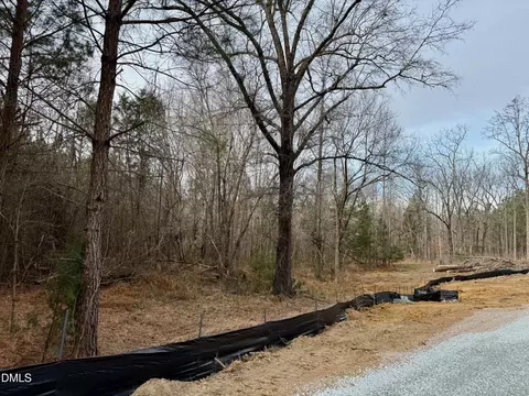 Other - lot D Wolf Tree Way, Efland, NC 27243 photo 11 of 17