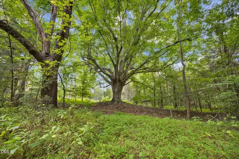 Exterior - lot D Wolf Tree Way, Efland, NC 27243 photo 5 of 6