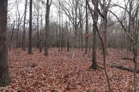 tbd Willis Long Rd, Monroe, NC 28110 photo 19