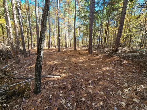 278 John Headen Rd, Moncure, NC 27559 photo 5
