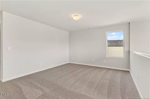 107 Rubyfield Ct, Fremont, NC 27830 photo 30