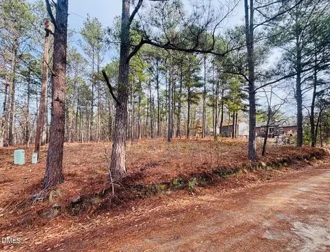 0 Mye Ln, Cameron, NC 28326 photo 6