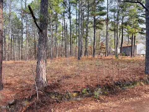 0 Mye Ln, Cameron, NC 28326 photo 8