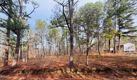 0 Mye Ln, Cameron, NC 28326 photo 9