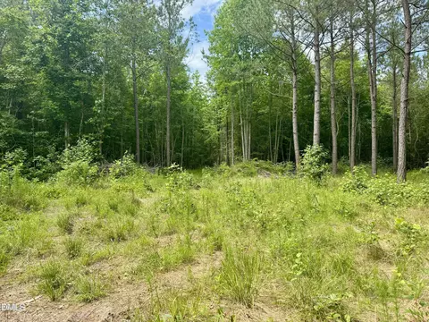 Tract 1 Frazier Road, Spring Hope, NC 27882