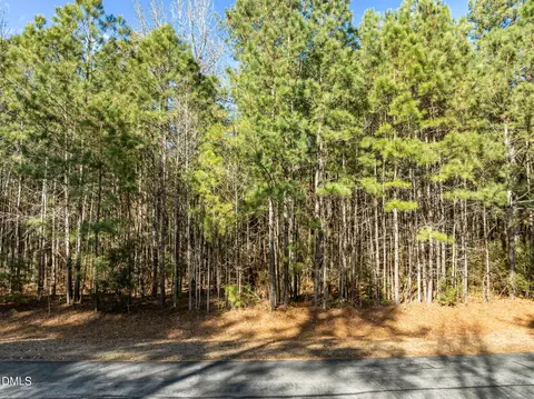 0 Bailey Pointe Rd, Belhaven, NC 27810 photo 4
