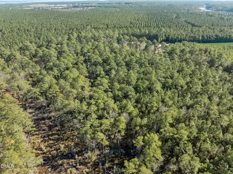 0 Bailey Pointe Rd, Belhaven, NC 27810 photo 13