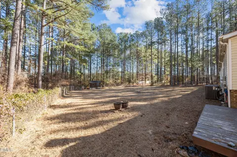 102 Foxtree Ct, Benson, NC 27504 photo 42