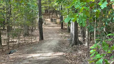 1208 Catch Fly Ln, Durham, NC 27713 photo 33