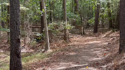 1208 Catch Fly Ln, Durham, NC 27713 photo 34