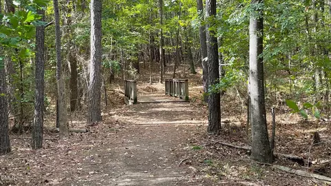 1208 Catch Fly Ln, Durham, NC 27713 photo 35