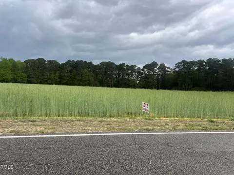 223 Partin Rd, Dunn, NC 28334 photo 5