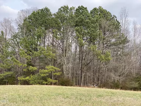 7157 Joe Branson Rd, Bennett, NC 27208 photo 9
