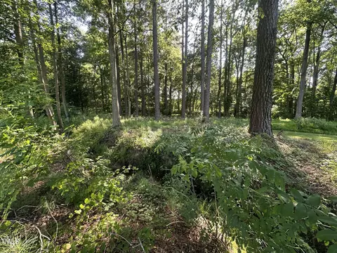 26 Phillips Rd, Selma, NC 27576 photo 5