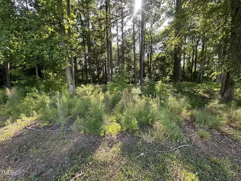 26 Phillips Rd, Selma, NC 27576 photo 3