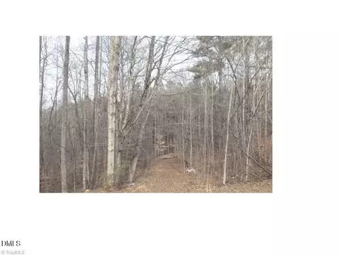 00 Mountain Vw, Pelham, NC 27311 photo 3