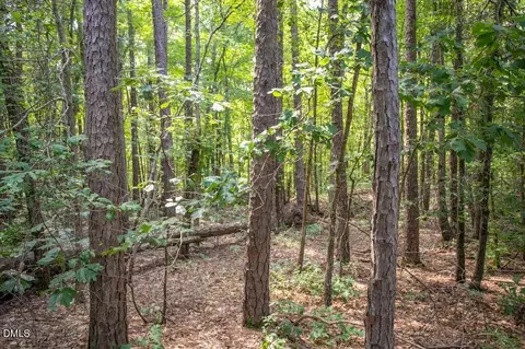 00 Stone Dr, Roxboro, NC 27573 photo 37