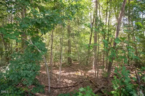 00 Stone Dr, Roxboro, NC 27573 photo 35