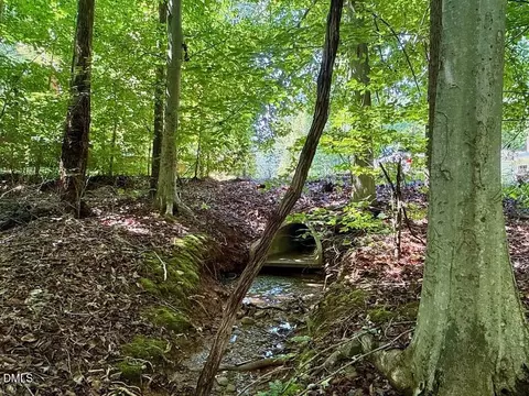 00 Stone Dr, Roxboro, NC 27573 photo 34