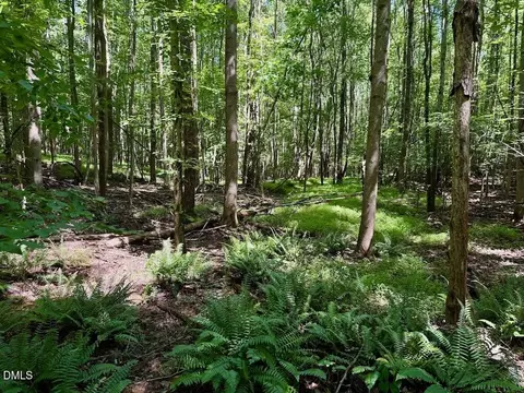 00 Stone Dr, Roxboro, NC 27573 photo 68