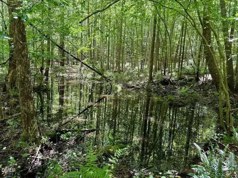 00 Stone Dr, Roxboro, NC 27573 photo 81