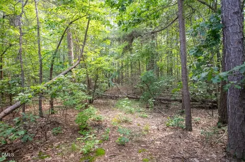 00 Stone Dr, Roxboro, NC 27573 photo 36