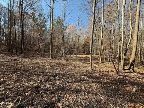 00 Stone Dr, Roxboro, NC 27573 photo 62