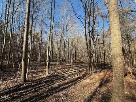 00 Stone Dr, Roxboro, NC 27573 photo 54