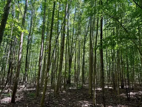 00 Stone Dr, Roxboro, NC 27573 photo 66