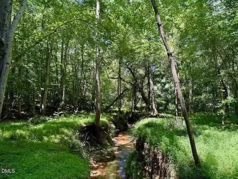 00 Stone Dr, Roxboro, NC 27573 photo 69