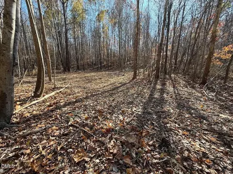 00 Stone Dr, Roxboro, NC 27573 photo 50