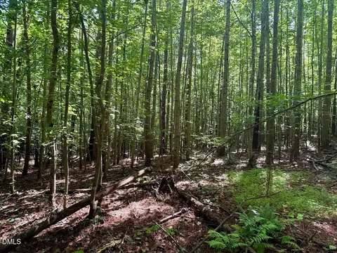 00 Stone Dr, Roxboro, NC 27573 photo 67