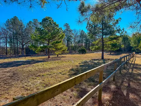 125 Ninovan Pl, Rougemont, NC 27572 photo 24