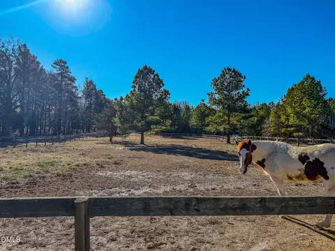 125 Ninovan Pl, Rougemont, NC 27572 photo 56