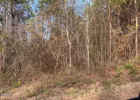 0 Watson Grave Yard Rd, Clarkton, NC 28433