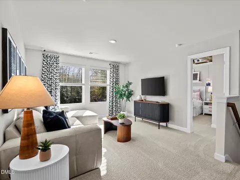 Other - 150 Thistle Patch Pl, Angier, NC 27501 photo 5 of 6