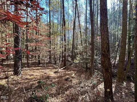 0 Mcdougald Rd, Broadway, NC 27505 photo 26