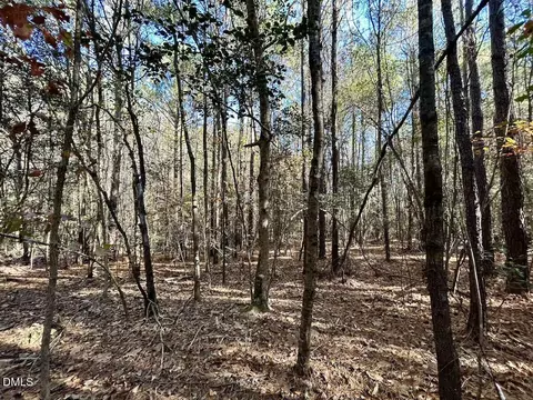 0 Mcdougald Rd, Broadway, NC 27505 photo 21