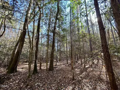 0 Mcdougald Rd, Broadway, NC 27505 photo 25